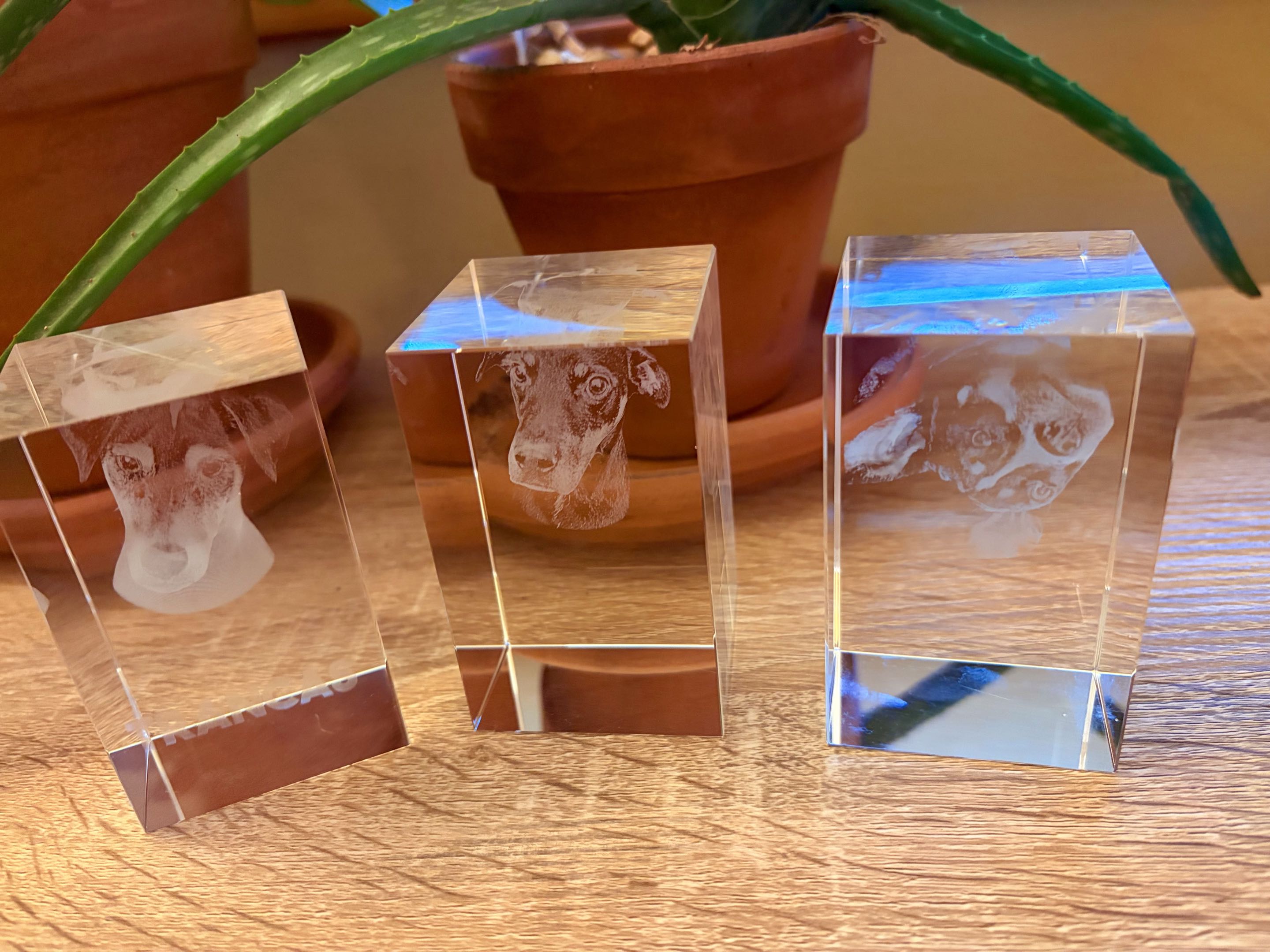 Pet Memorial Rectangle — photo 2