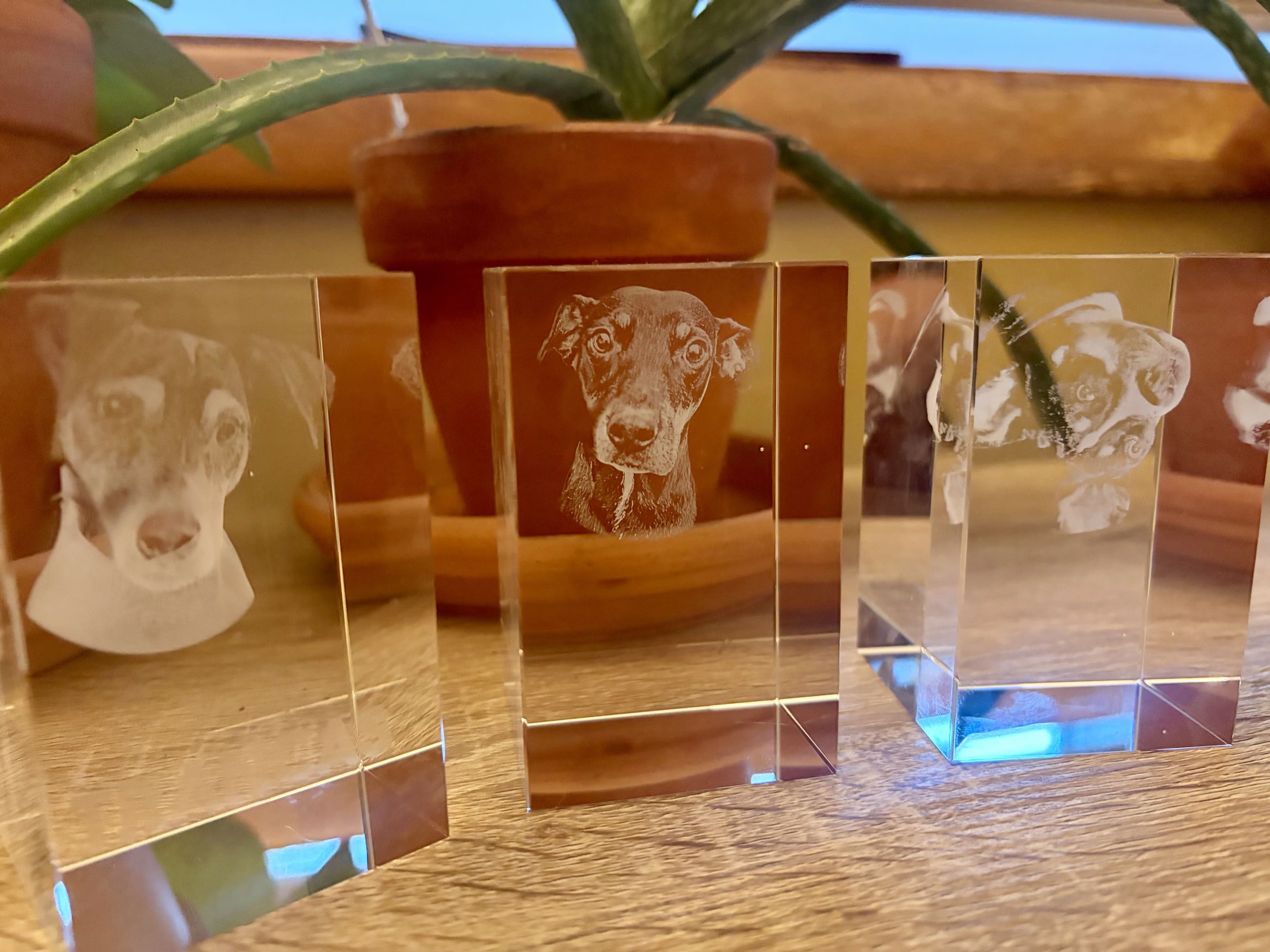 Pet Memorial Rectangle